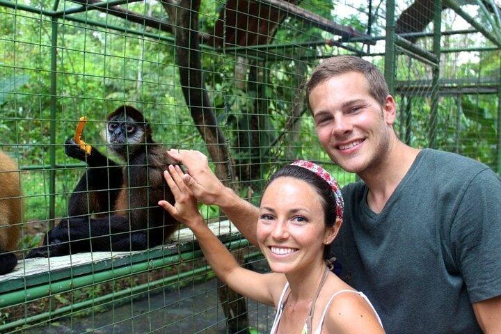 La Fortuna : Projet « Asis Wildlife Rescue Center » avec transport
