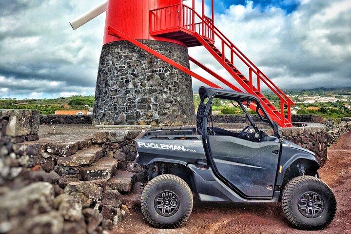 3H Randonnée de buggy dans les vignes de l'île du Pico