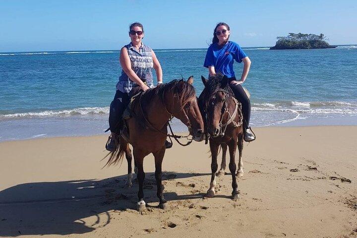 Horseback ridning på stranden