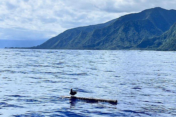 Excursion to discover the authentic Tahiti Peninsula 4:00
