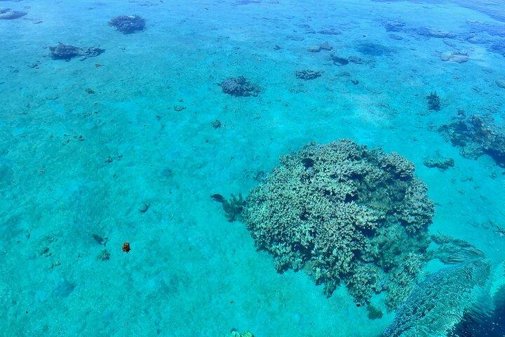 Excursion to discover the authentic Tahiti Peninsula 4:00