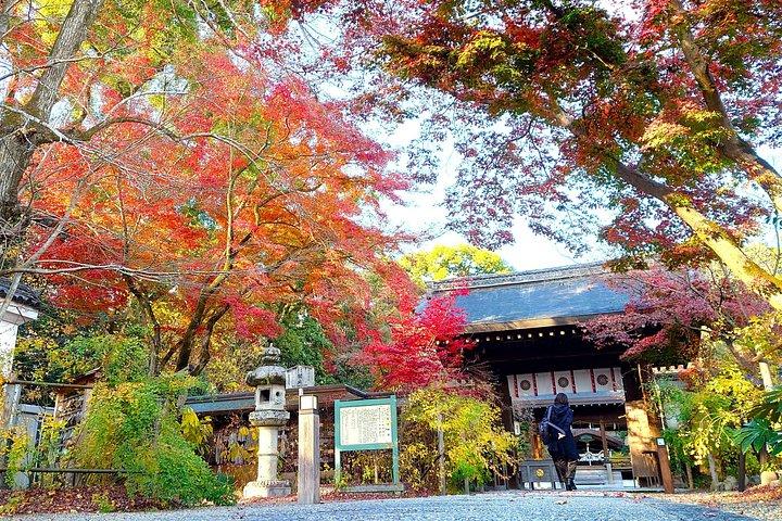 京都 : 静かな水辺を走る東山スローサイクリングツアー