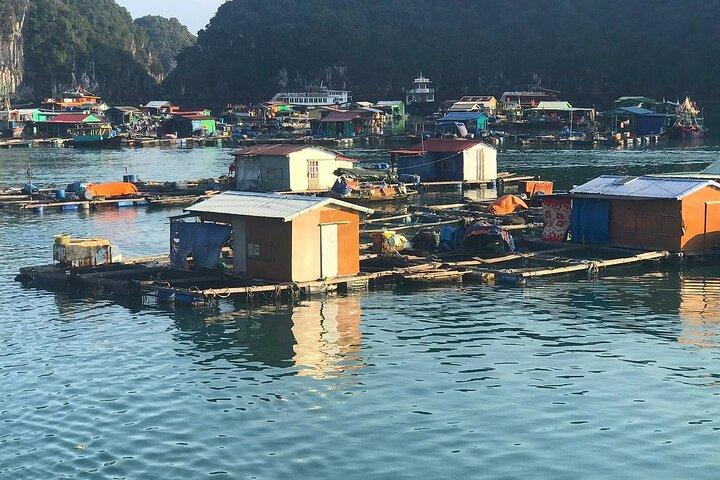 猫バから豪華クルーズで行く忘れられないランハ湾サンセットツアー