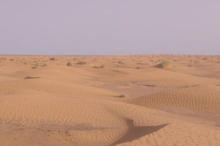 2 Days 1 Night in the Sahara 75km Private