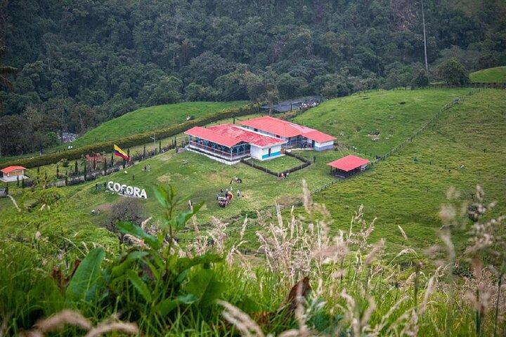 Randonnée dans la vallée de Cocora avec déjeuner