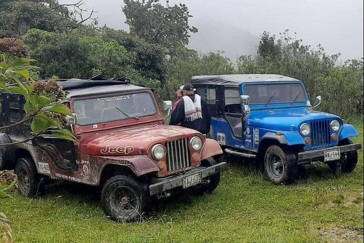 Randonnée dans la vallée de Cocora avec déjeuner