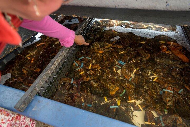 Boston Seafood Tour: Bakom kulisserna på den historiska fiskpiren