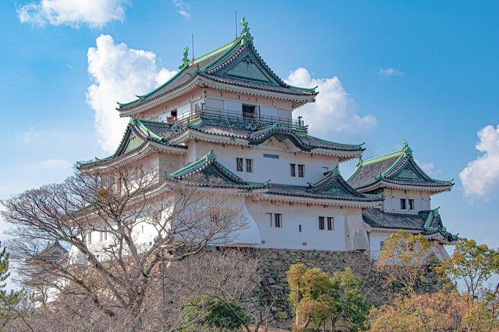Excursión de un día a Wakayama desde Osaka