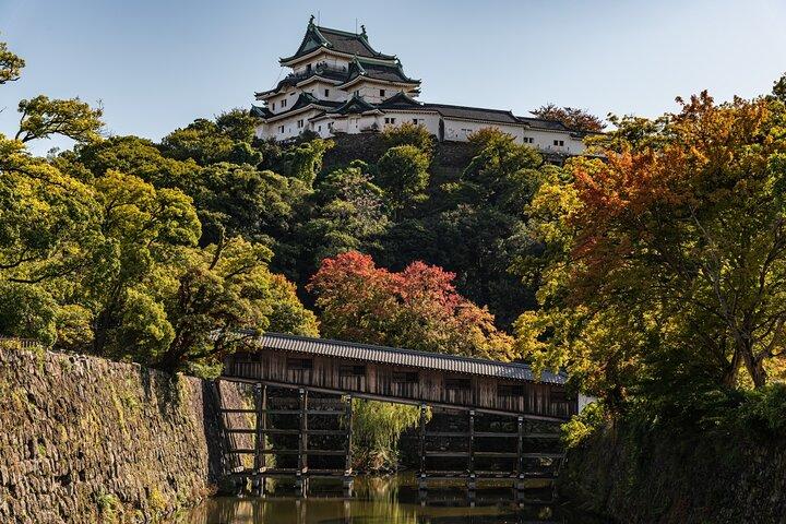 Excursión de un día a Wakayama desde Osaka