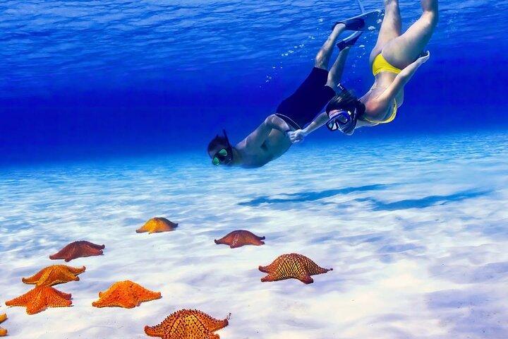Exploração para El Cielo e Reefs: Vivendo perto das estrelas