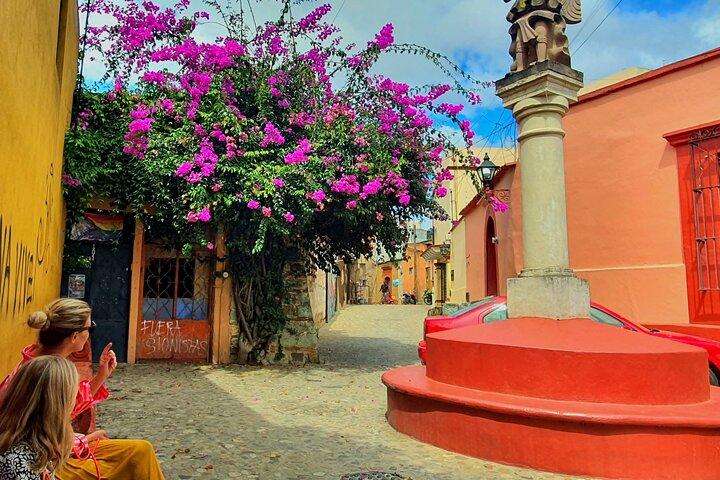 Privat Oaxaca City Tour på et budget - Bedst bedømt