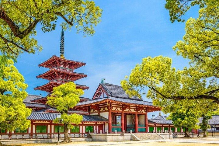 Excursion privée d'une journée à Osaka City avec ramassage et retour