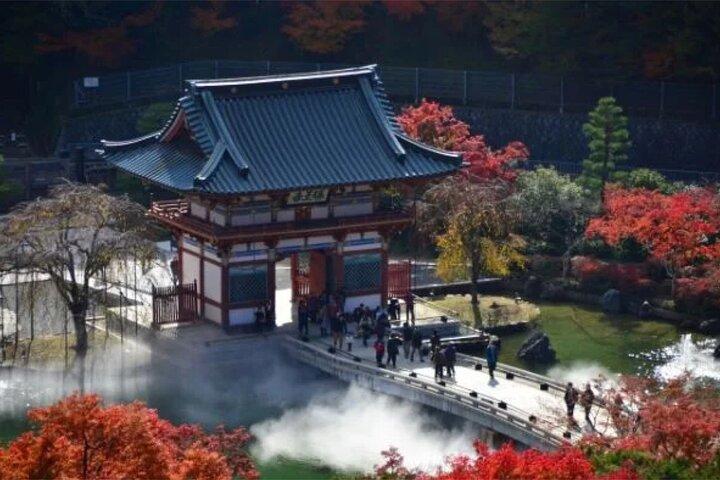 Excursion privée d'une journée à Osaka City avec ramassage et retour