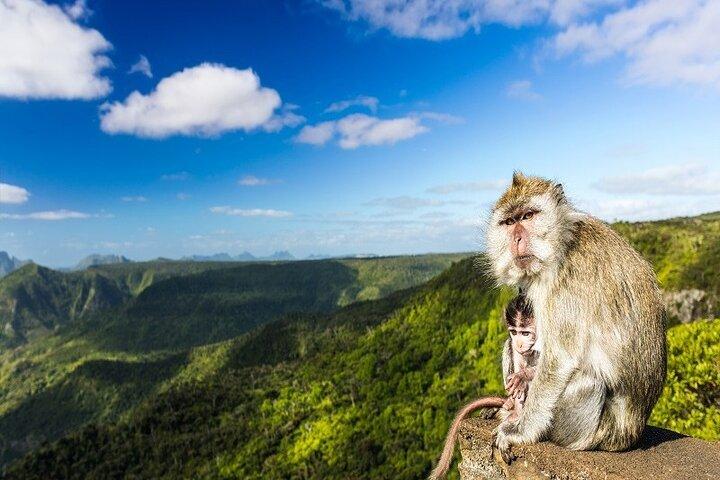 Mauritius South West Tour: avventura privata di un giorno