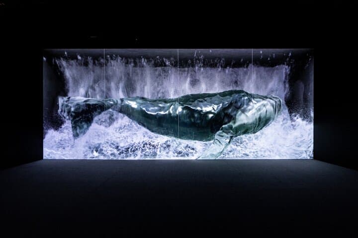 ARTE Museum: Immersive Digital Art Experience in Las Vegas