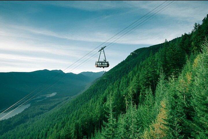 Privat tur til Capilano Suspension Bridge og Grouse Mountain.