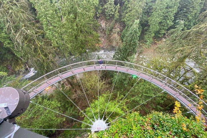 Visite privée de Capilano Suspension Bridge & Grouse Mountain.