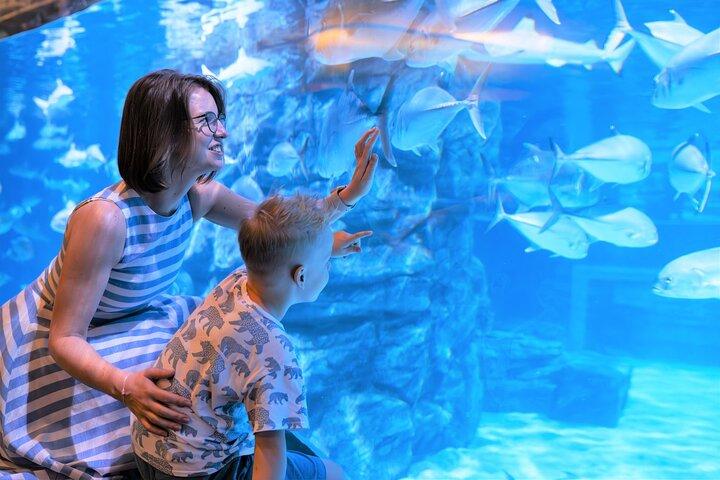 Aquaria Phuket Ticket Experiencia de atracción en el acuario