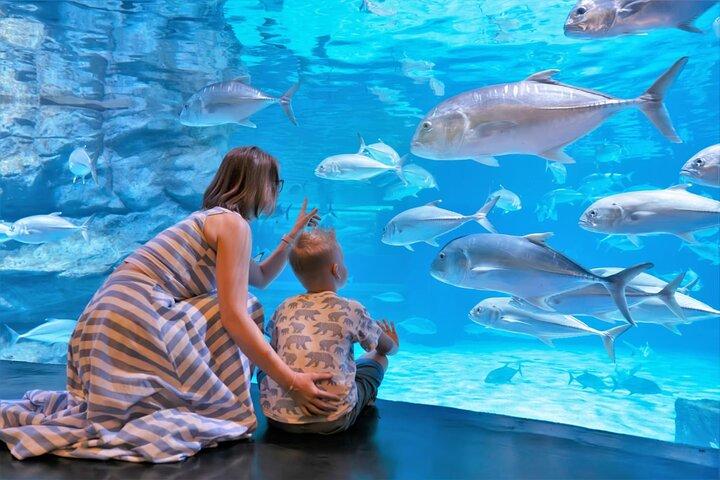 Aquaria Phuket Ticket Top Aquarium Attraction Experience