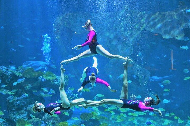 Aquaria Phuket Ticket Top Aquarium Attraction Experience