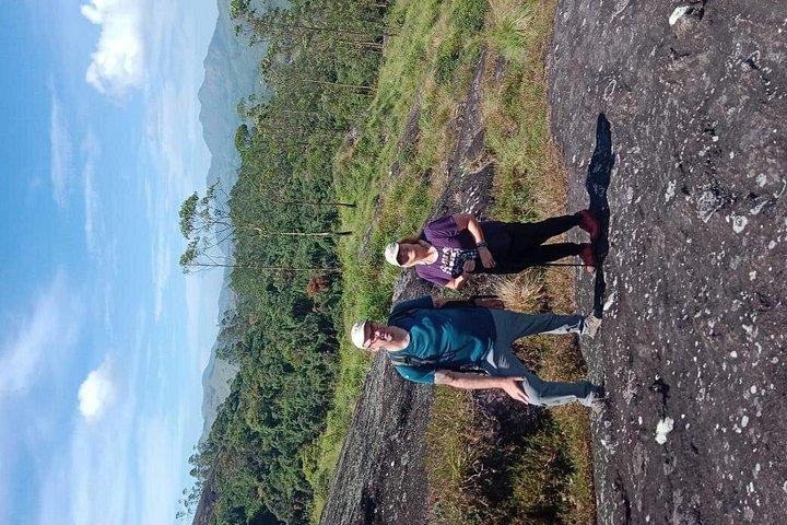 Green Magic-Tagestour nach Munnar