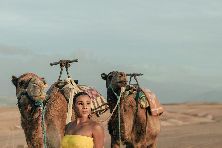 Da Ouarzazate: 2 Giorni - 1 Notte Deserto di Zagora di ritorno a Marrakech