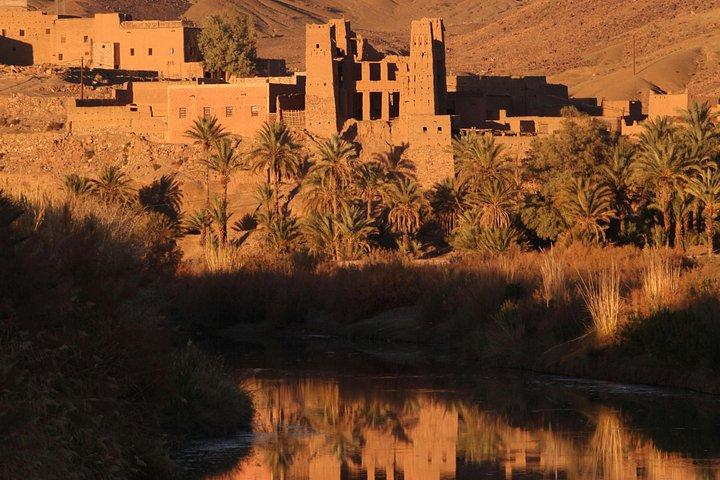 Ouarzazateから: 1泊2日ザゴラ砂漠からマラケシュに戻る