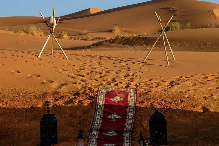 Ouarzazateから: 1泊2日ザゴラ砂漠からマラケシュに戻る