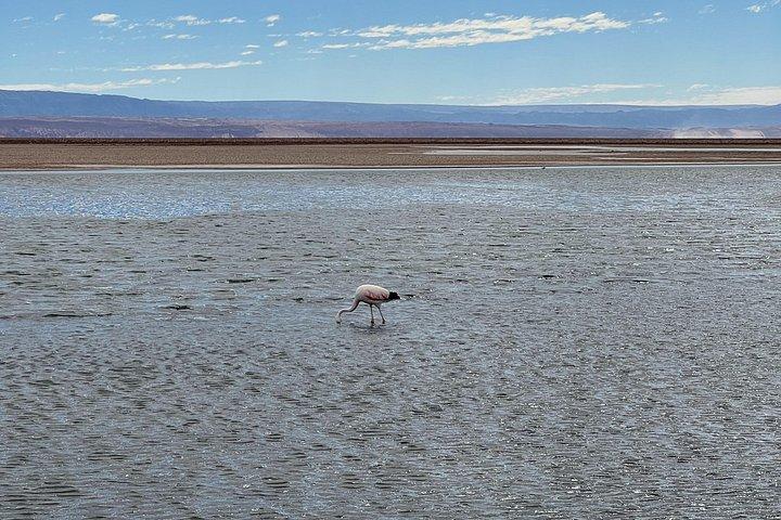 Triple Excursion: Red Stones, High Plains and Chaxa