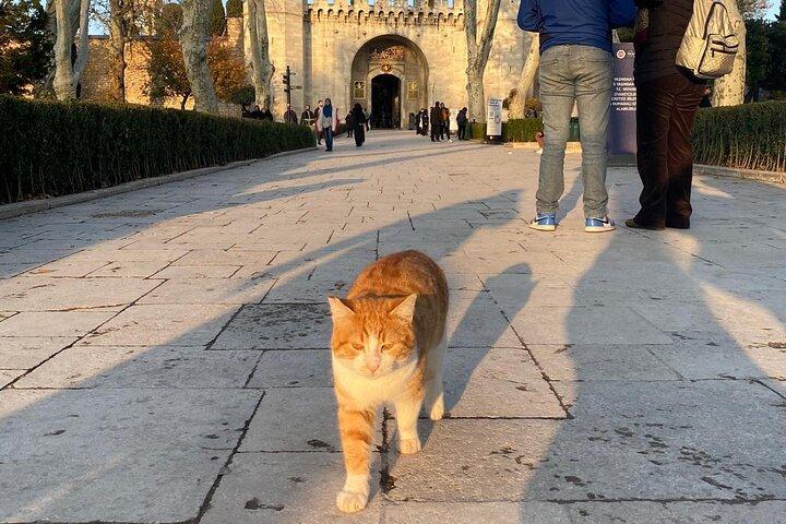 Il tour della città vecchia da non perdere a Istanbul