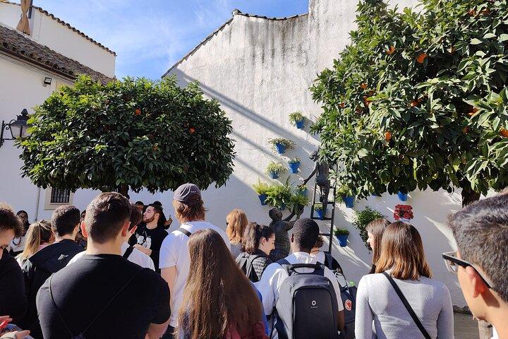 De Sevilha : Córdoba e Mesquita-Catedral
