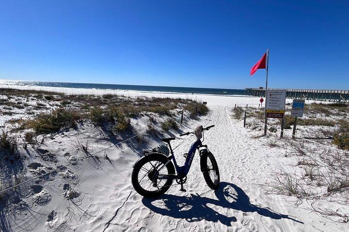 State Park E-Bike Tour : Alligators, Pier , & More（アリゲーター、ピア、その他 ） [ SELF-GUIDED]