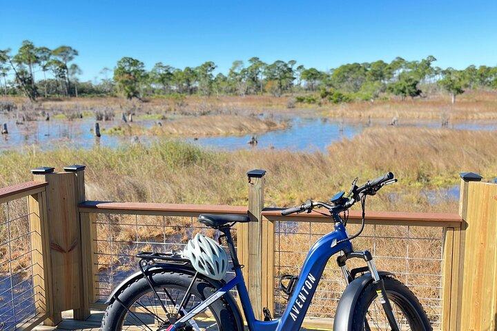 State Park E-Bike Tour : Alligators, Pier , & More（アリゲーター、ピア、その他 ） [ SELF-GUIDED]