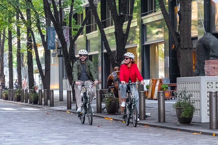 3-Hour Tokyo Private E-Bike Tour Starting from Your Hotel