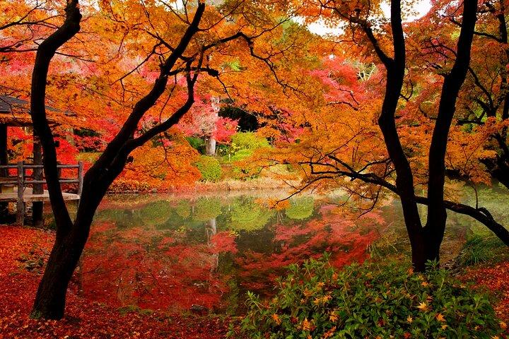 京都の見どころ： 半日カスタマイズ世界遺産ウォーキングツアー