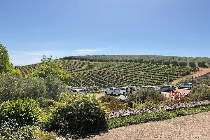 Full Day Tour to Wine Estates Stellenbosch, Franschhoek and Paarl