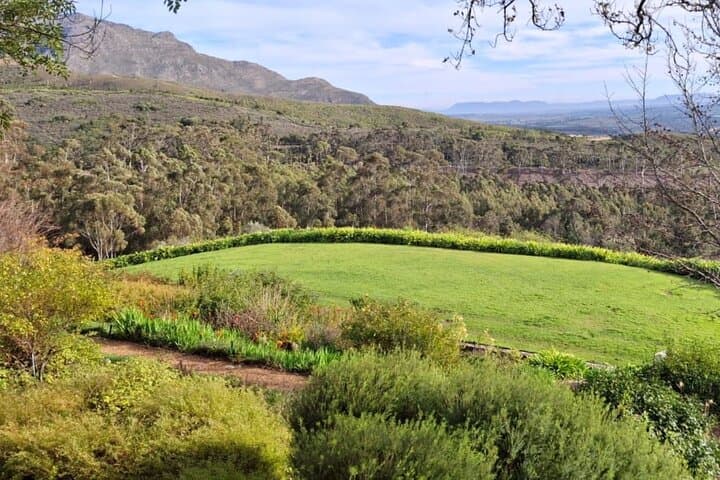 Full Day Tour to Wine Estates Stellenbosch, Franschhoek and Paarl