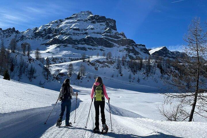 Excursión guiada con raquetas de nieve en los Dolomitas desde Belluno