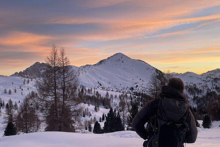 Excursión guiada con raquetas de nieve en los Dolomitas desde Belluno
