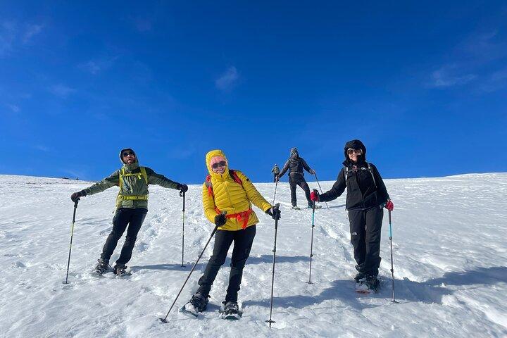 Excursión guiada con raquetas de nieve en los Dolomitas desde Belluno