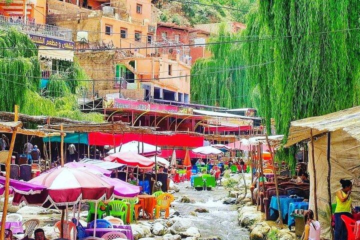 Agafay Desert Quad & Camel Rides, Ourika Valley & Dinner Show
