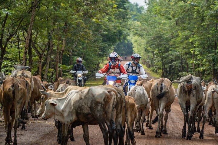 3 Days Jungle Temples Enduro Tour