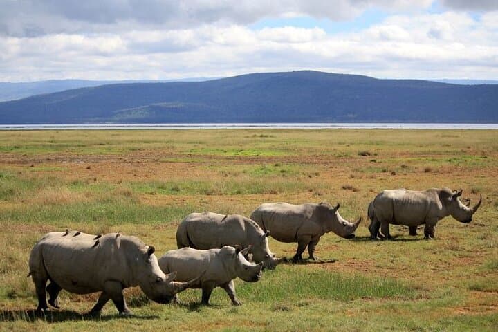 Private Day Tour to Lake Baringo from Nairobi