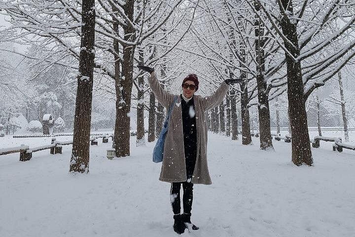 Customized Private Nami island with optional tour