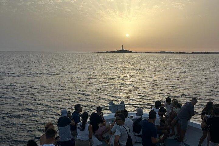 Passeio de Observação de Baleias