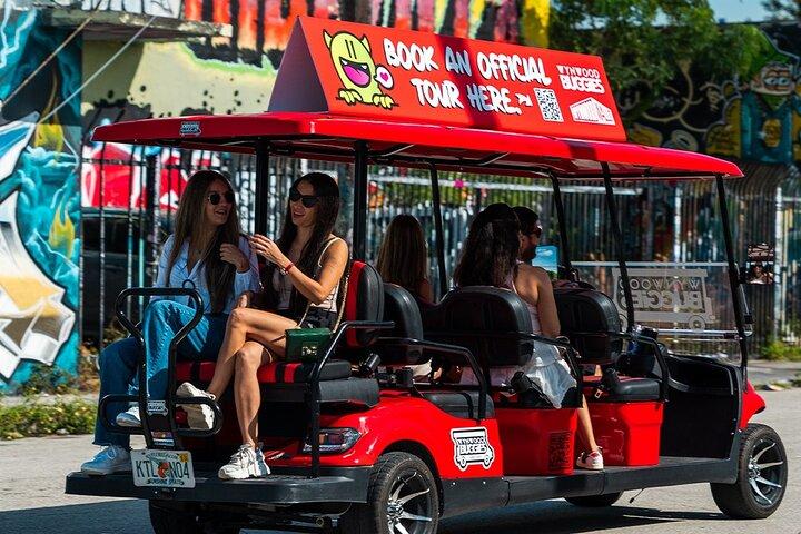 Wynwood Walls Ingresso e Quartiere Buggy Experience