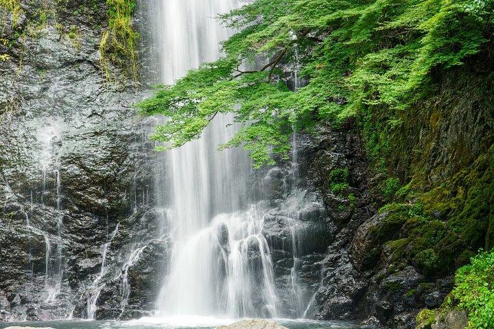 Osaka 8 Hours Tour Explore a Cidade e as Cataratas Minoh