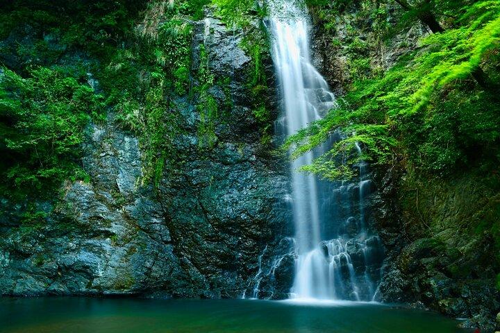 Osaka 8 Hours Tour Explore a Cidade e as Cataratas Minoh