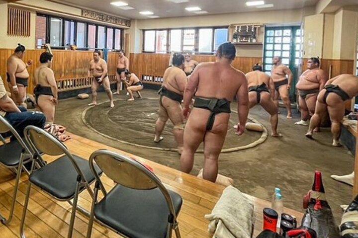 Cadeira Assento Garantido SUMO Prática + Foto + Cultura Opção