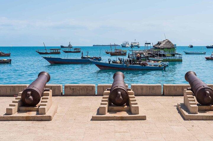 Visita guiada a Stone Town & Historical